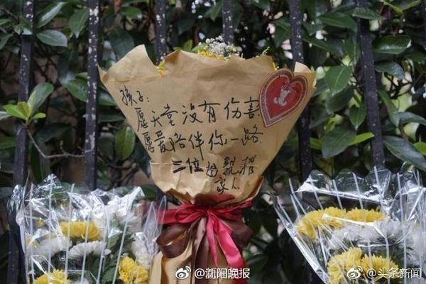 bobfootball足球官网在线竞技版